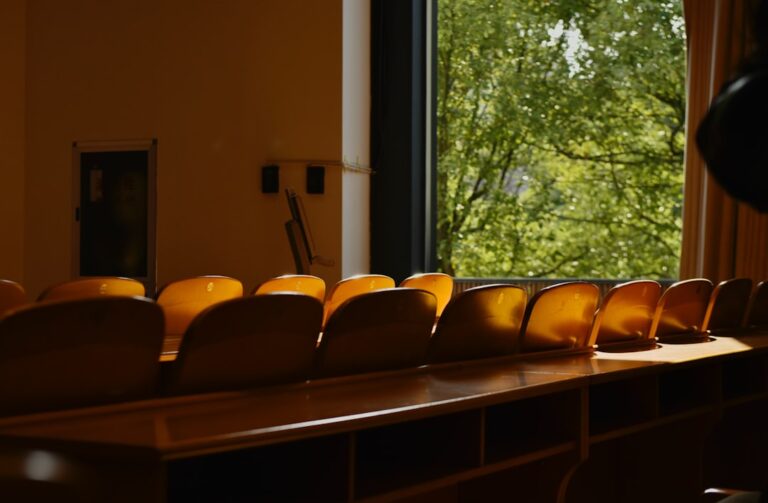 Assentos Vazios Na Sala De Aula Tem Vista Para Uma Arvore Eg4bk_HVgOs